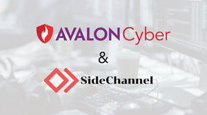 Avalon Cyber-Social Image-SideChannel-1