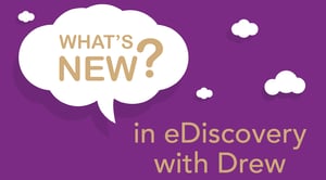 chat bubble for eDiscovery with Drew