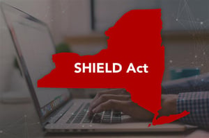 high res NYS Shield Act